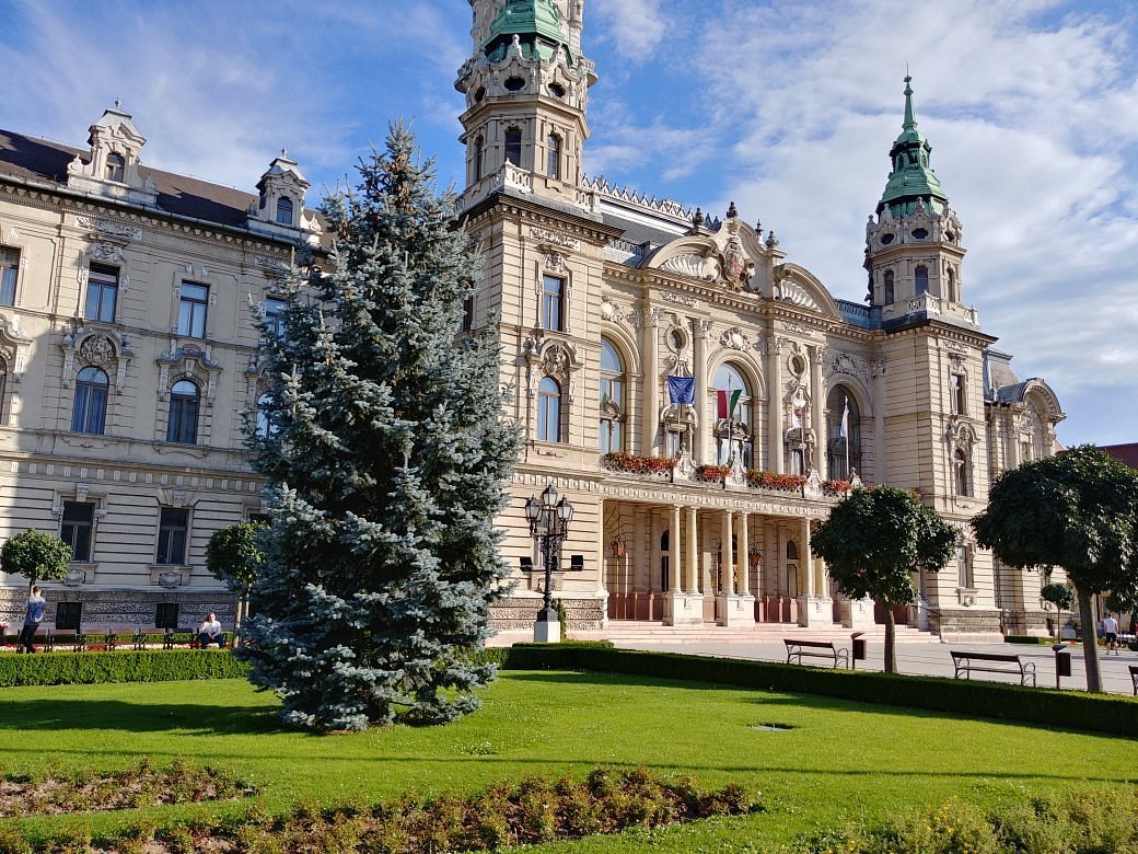 Weed-in-Gyor. Weed in Gyor