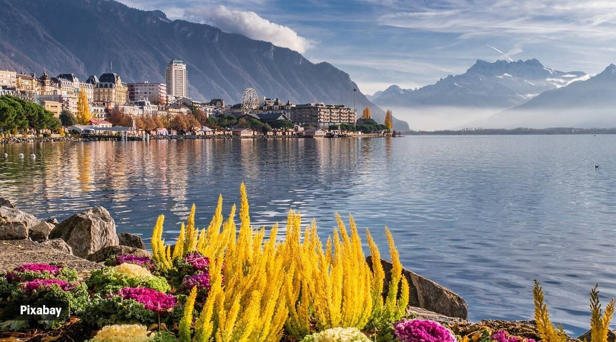 Weed-in-Montreux. Weed in Montreux.