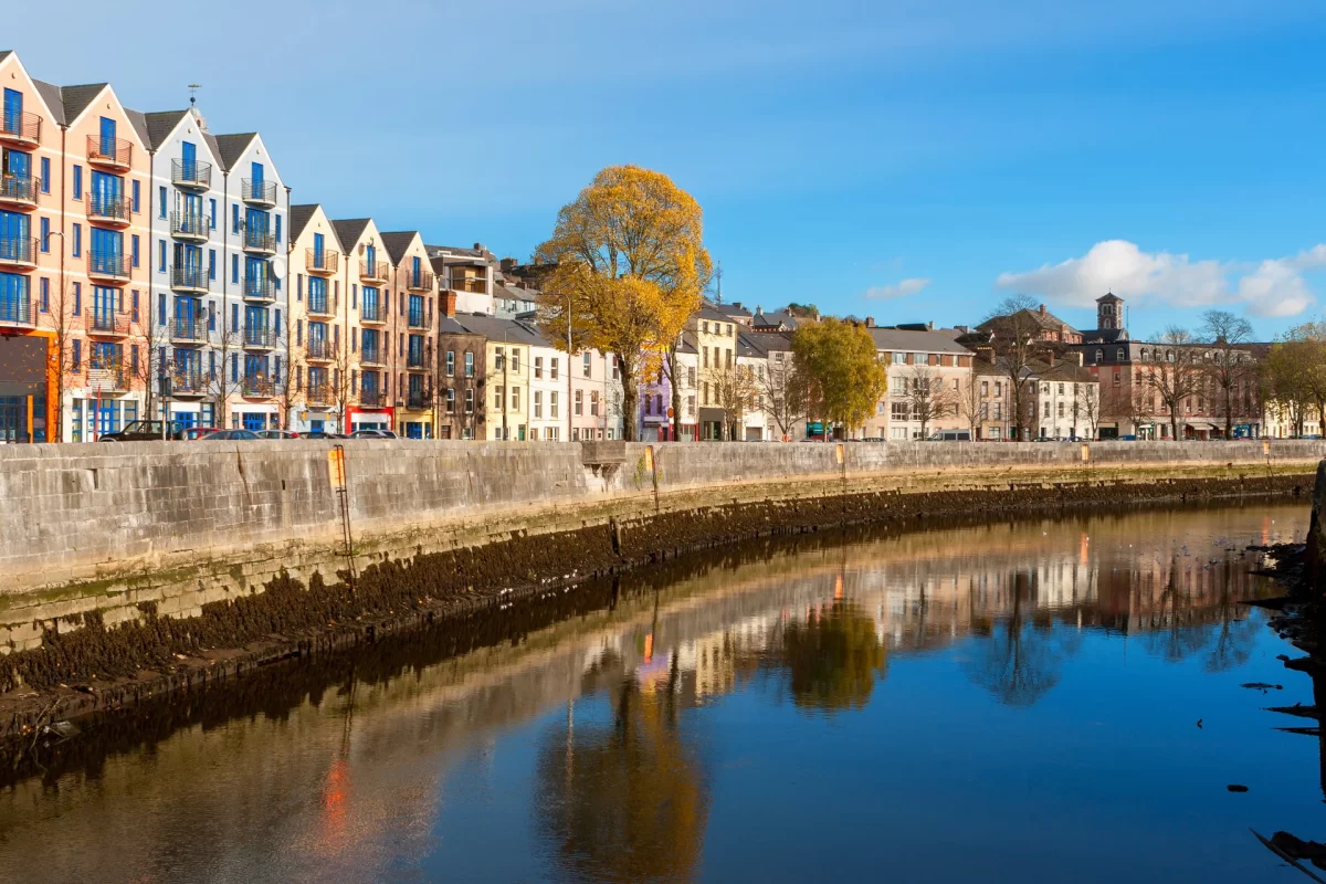 Weed-in-Cork. Weed in Cork.